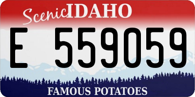ID license plate E559059