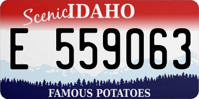 ID license plate E559063