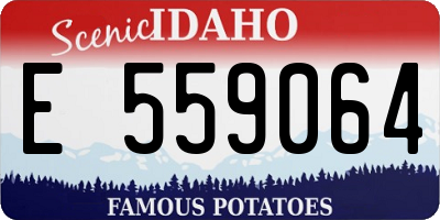 ID license plate E559064