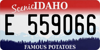 ID license plate E559066