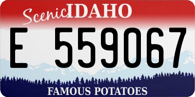 ID license plate E559067