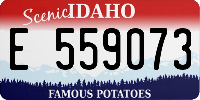 ID license plate E559073