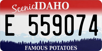 ID license plate E559074