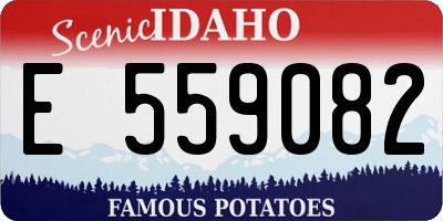 ID license plate E559082