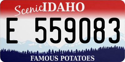 ID license plate E559083