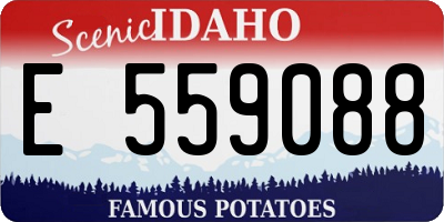 ID license plate E559088