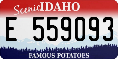 ID license plate E559093