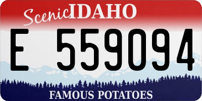 ID license plate E559094