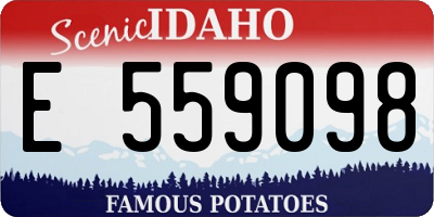 ID license plate E559098