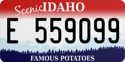 ID license plate E559099