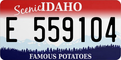 ID license plate E559104