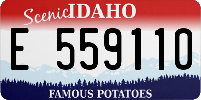 ID license plate E559110