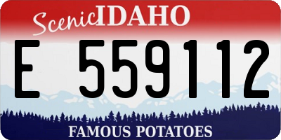 ID license plate E559112