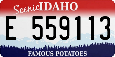 ID license plate E559113