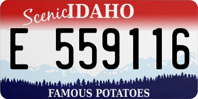ID license plate E559116