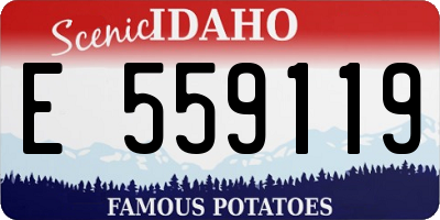 ID license plate E559119