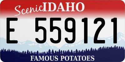 ID license plate E559121