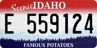 ID license plate E559124