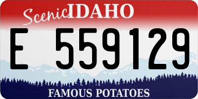 ID license plate E559129