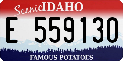 ID license plate E559130