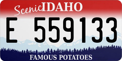 ID license plate E559133