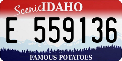 ID license plate E559136