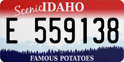 ID license plate E559138