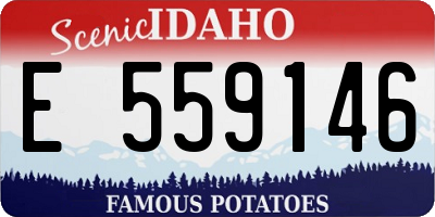 ID license plate E559146