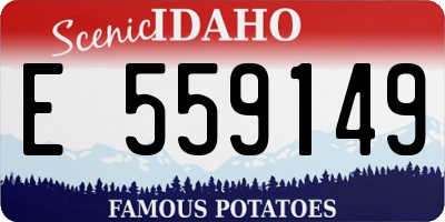 ID license plate E559149