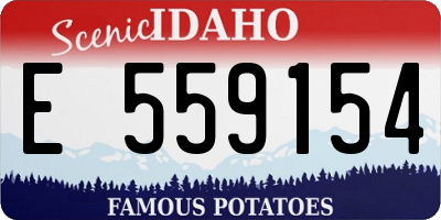ID license plate E559154