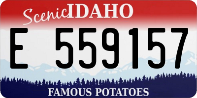 ID license plate E559157