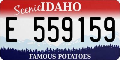 ID license plate E559159