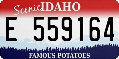 ID license plate E559164