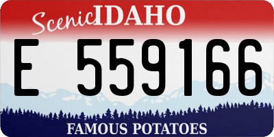 ID license plate E559166