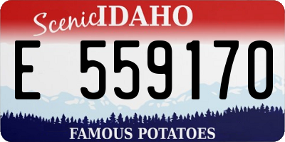 ID license plate E559170
