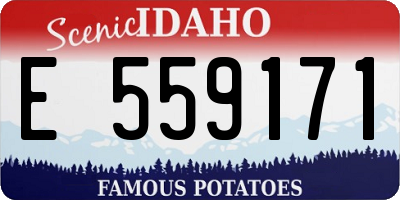 ID license plate E559171