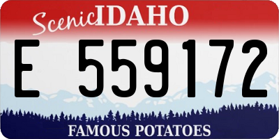 ID license plate E559172