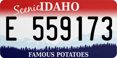 ID license plate E559173