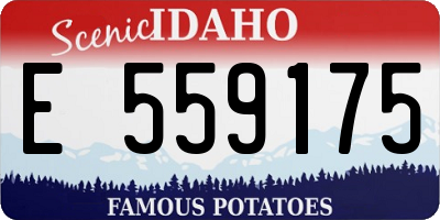 ID license plate E559175