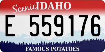 ID license plate E559176