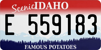 ID license plate E559183