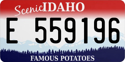 ID license plate E559196