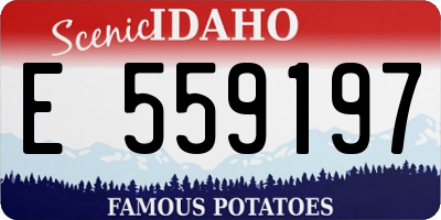 ID license plate E559197