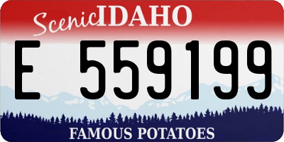 ID license plate E559199