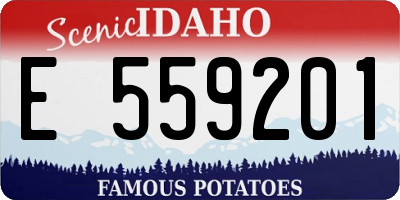 ID license plate E559201