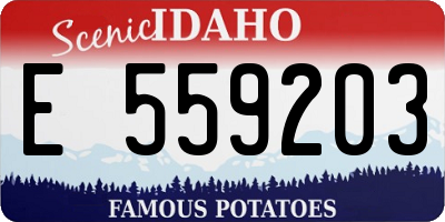 ID license plate E559203