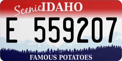 ID license plate E559207
