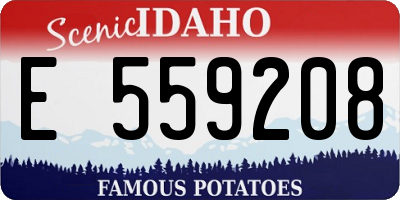 ID license plate E559208