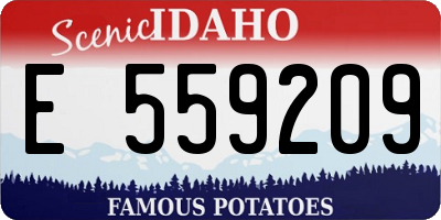 ID license plate E559209