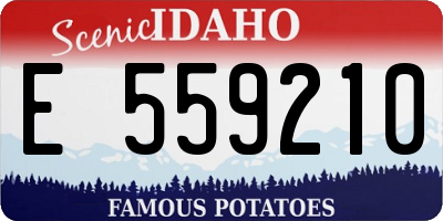 ID license plate E559210